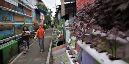 Kampung Kumis, Gang Sempit Penghasil Sayuran Organik di Jakarta