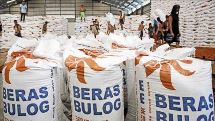 Program Bansos dari Bulog: Impor 500 Ribu Ton Beras untuk Mengatasi Kelangkaan Stok?